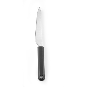 Couteau à Fromage pour Fromage Dur - Lame 13 cm