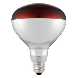 Ampoule Rouge pour Lampe Chauffante Infrarouge