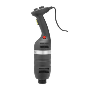 Bloc Moteur Mixeur Plongeant - 350 W