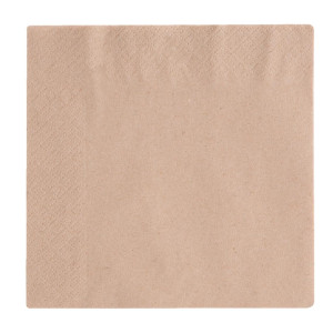 Serviettes Snacking 2 Plis Compostables 330mm - Lot de 2000