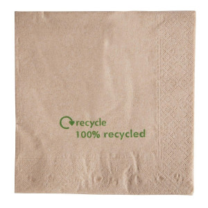 Serviettes Double Épaisseur en Papier Recyclé - Lot de 2000