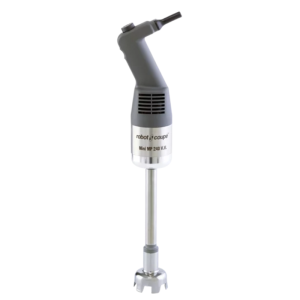 Mixeur Plongeant Mini 240 V.V