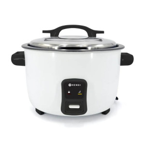 Cuiseur à Riz - 4,2 L