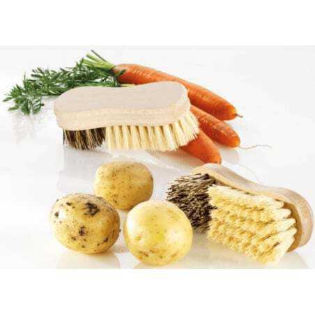 Brosse à Légumes et à Truffes Tellier - 1 Brosse à Légumes et à Truffes Tellier - 1