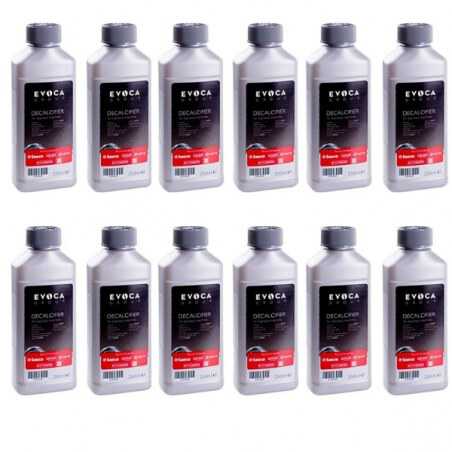 Détartrant Machine à Café 250 ml - Lot de 12 Flacons Saeco - 1 Détartrant Machine à Café 250 ml - Lot de 12 Flacons Saeco - 1