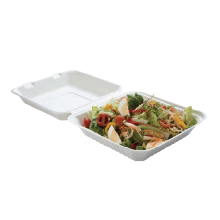 Lunch Box Bagasse 1 Compartiment - Lot de 50 FourniResto - 1