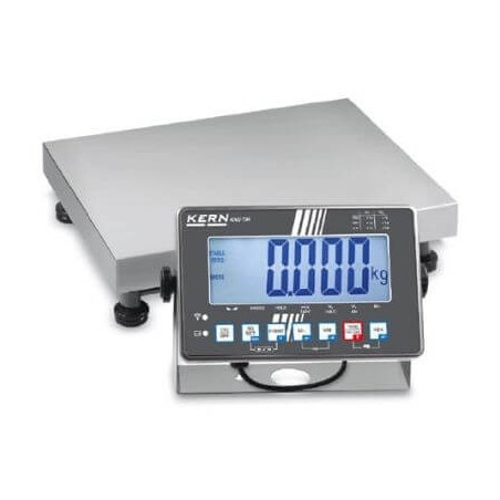 Balance Plate-Forme Portée 150 Kg Avec Colonne Kern - 1 Balance Plate-Forme Portée 150 Kg Avec Colonne Kern - 1