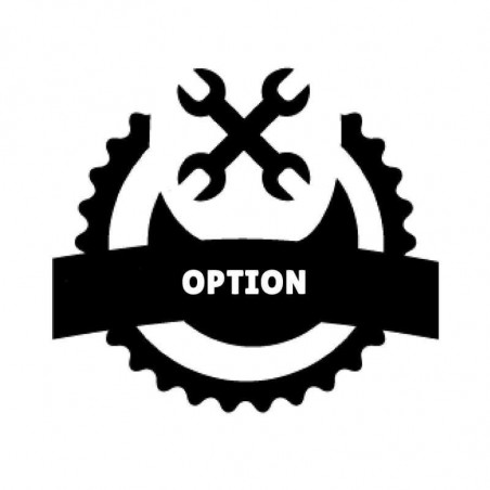 Option Rampe Relevable pour Table de Tri MLT4 SOFINOR - 1 Option Rampe Relevable pour Table de Tri MLT4 SOFINOR - 1