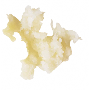 Disque Râpeur Raifort 0,7 mm Robot-Coupe - 2