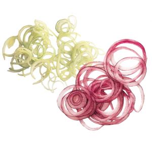 Disque Éminceur Taille Coupe - 1 mm Robot-Coupe - 2